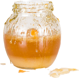 dropbe image